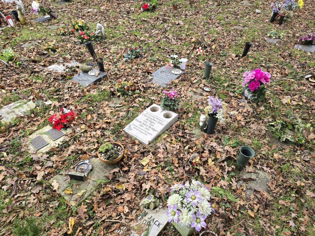 A cemetery scene with multiple gravestones scattered on a leaf-covered ground. Several graves have colorful flower arrangements in vases, including red, pink, and white blooms. A central gravestone has a plaque and two small vases.