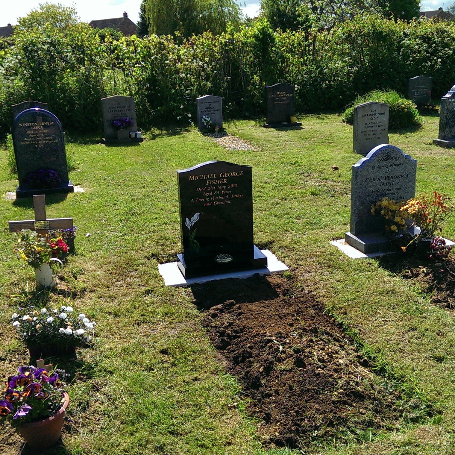 A sunny cemetery scene showing rows of gravestones. Freshly dug earth sits in front of some graves, with flowers and small plants placed around. Lush green grass and dense hedges surround the area.
