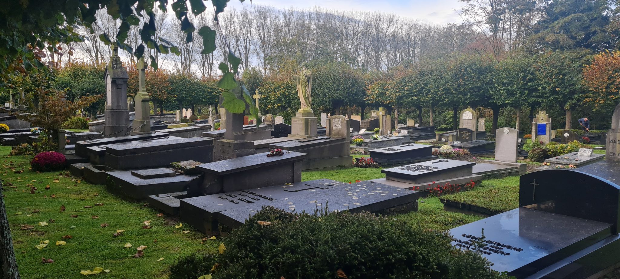 A peaceful cemetery with rows of gravestones and tombs, surrounded by trees and greenery under a cloudy sky. Some graves have flowers and plants placed on them.