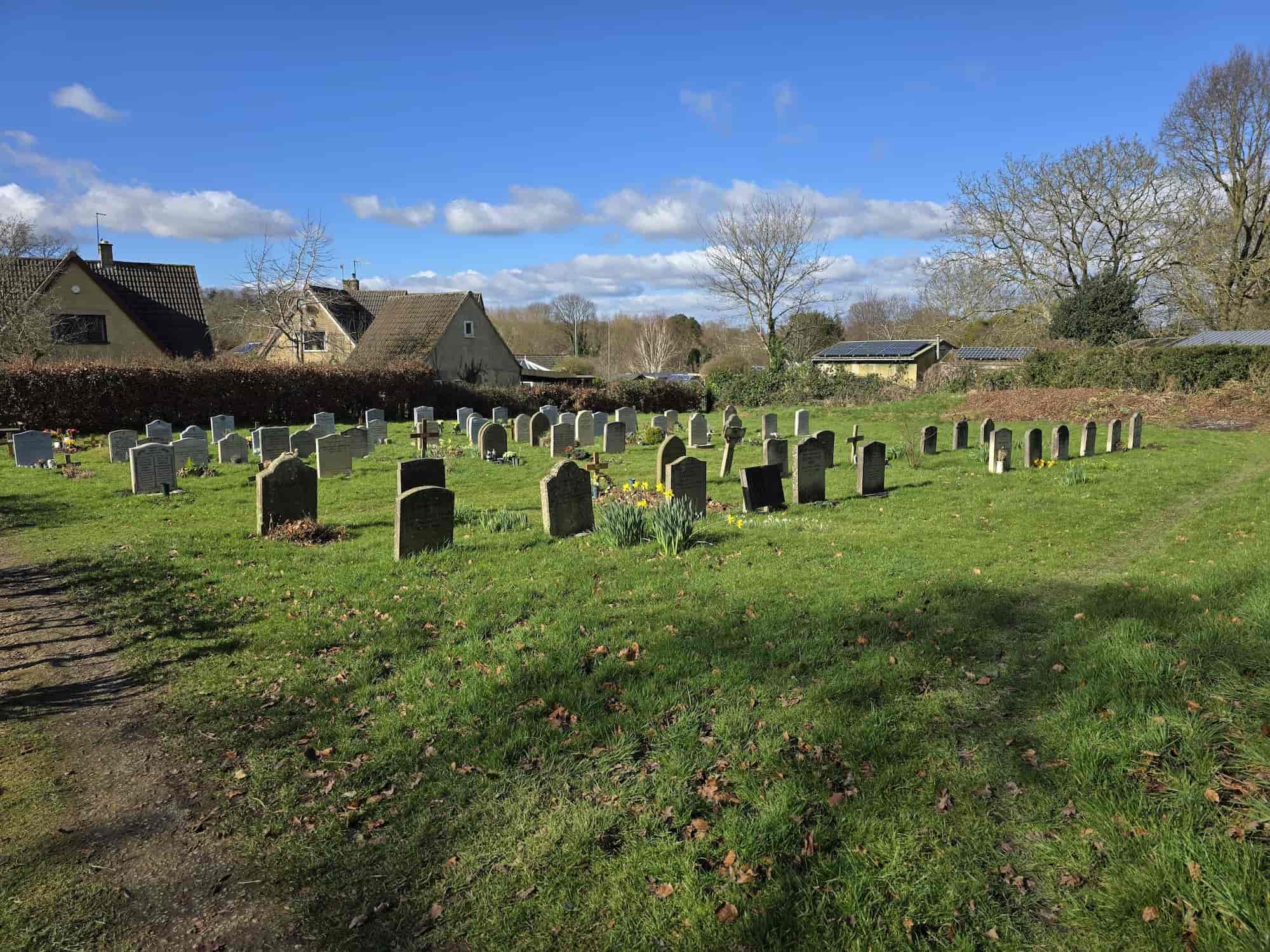 A sunny day at a small cemetery with rows of gravestones, some daffodils among them, surrounded by grass and nearby houses, trees, and a blue sky with scattered clouds.