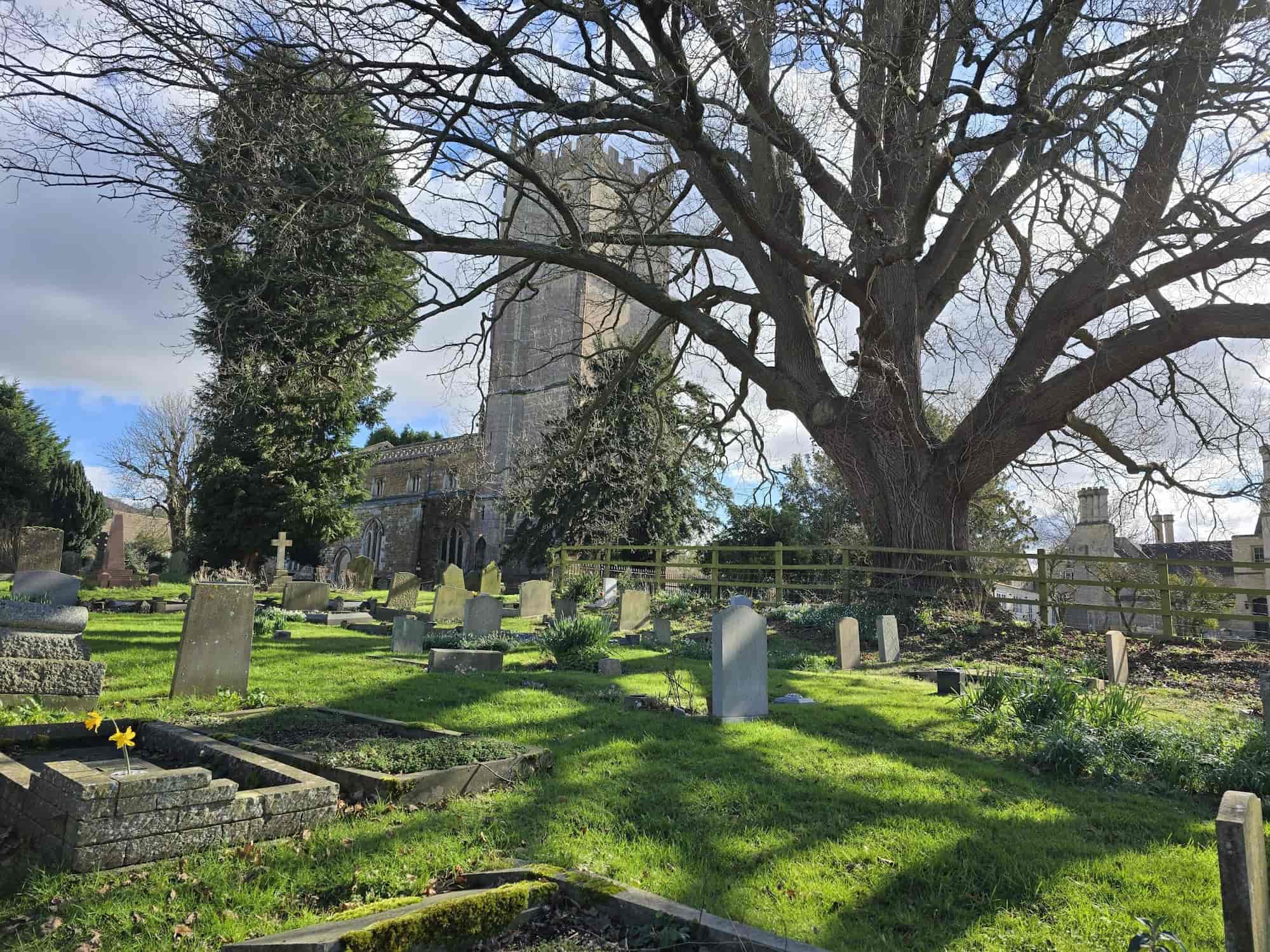 A graveyard with headstones, green grass, and a few blooming daffodils, bordered by a large tree. A historic stone church stands in the background under a partly cloudy sky.