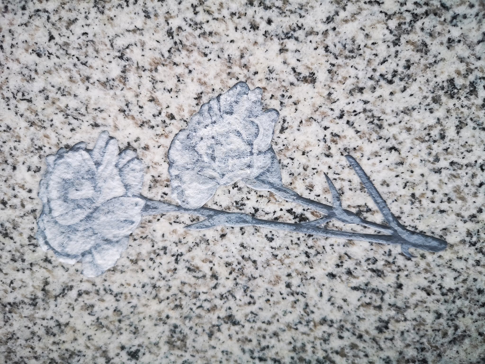 Two etched carnations with stems and leaves are depicted on a speckled granite surface, suggesting a floral design often found on a gravestone or memorial.