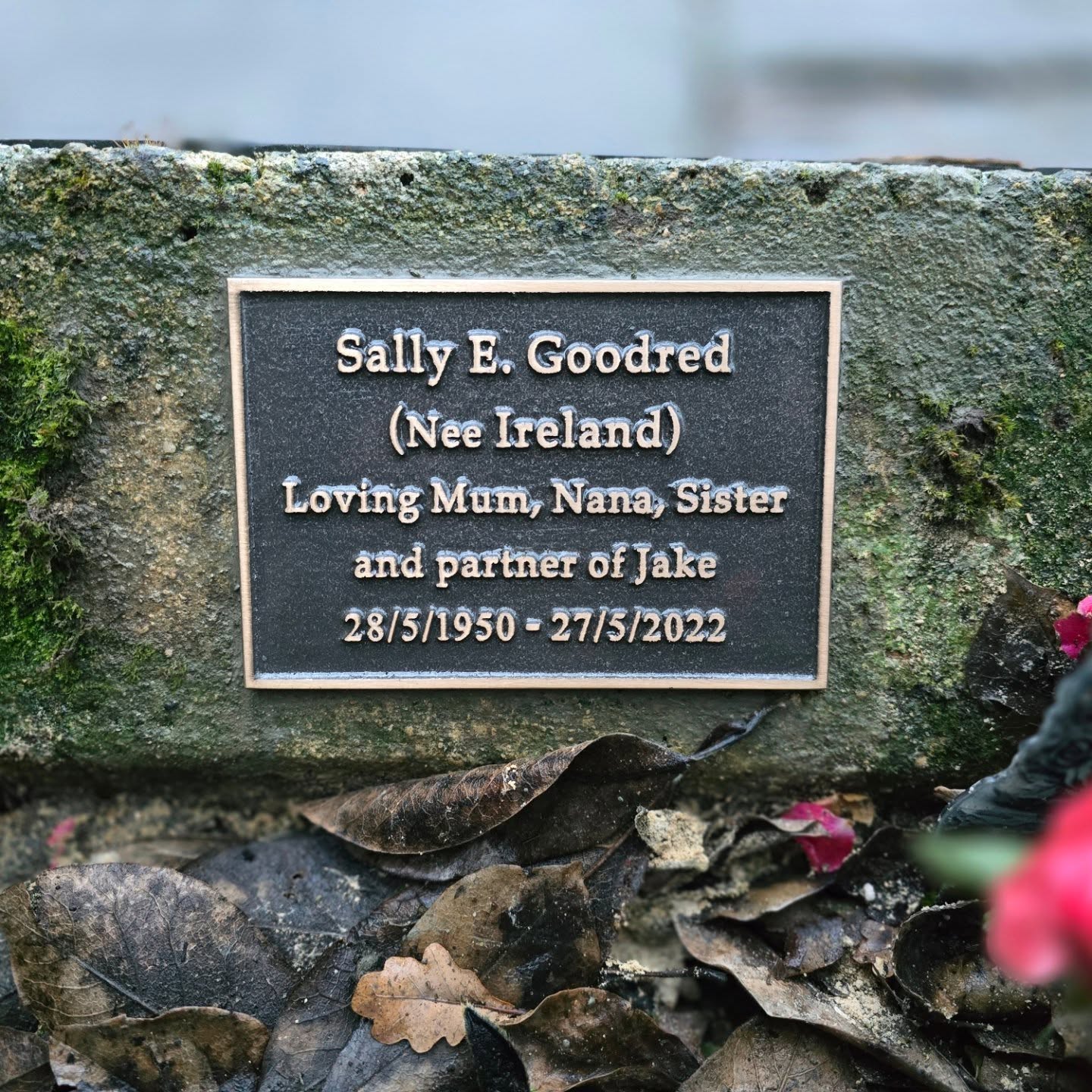 A memorial plaque for Sally E. Goodred (Nee Ireland), describing her as a loving mum, nana, sister, and partner of Jake, with her birth and death dates: 28/5/1950 – 27/5/2022. Leaves and flowers surround the plaque.
